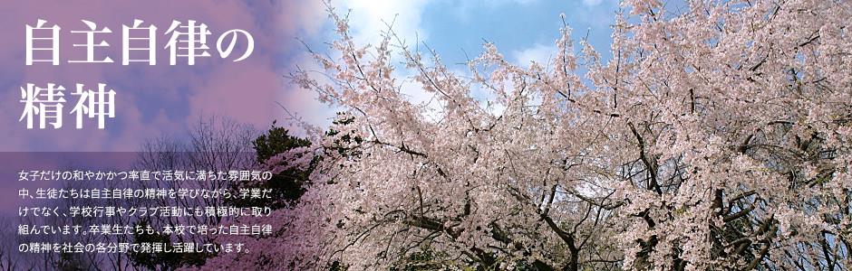 游艇会测试路线206官方地址